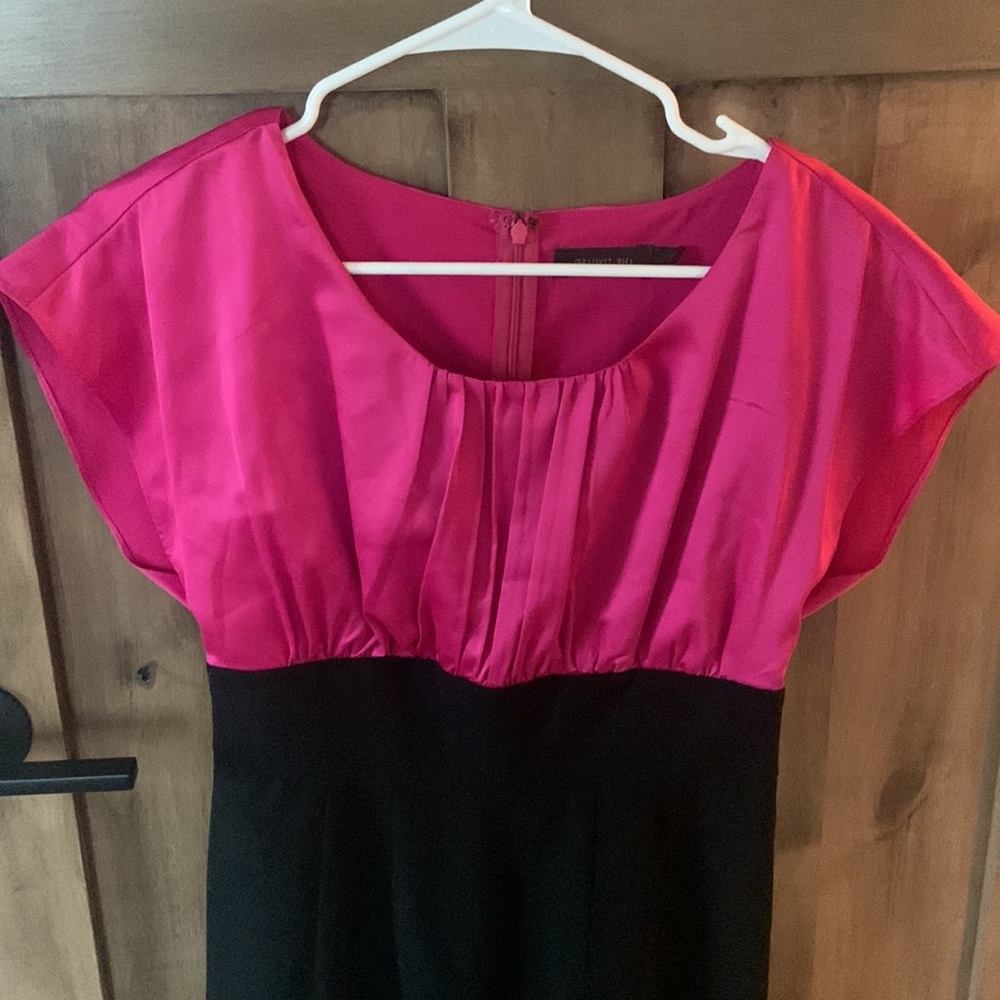 The Limited Dress - Picture 8 of 11